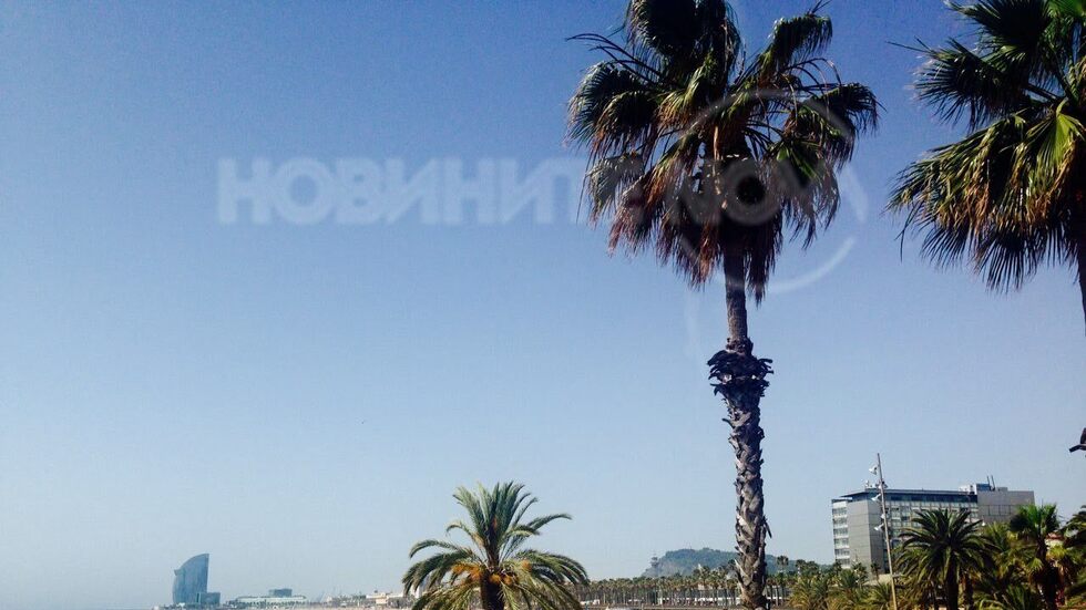 Чадъри и шезлонги