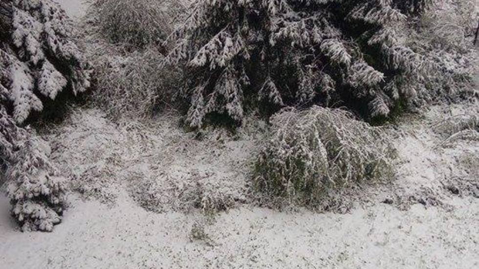 Сняг в Габрово през април