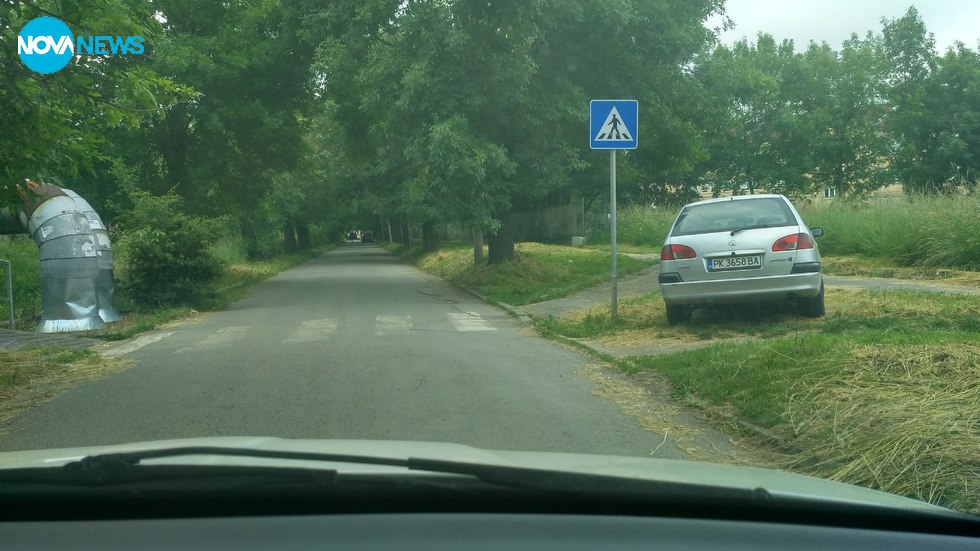 Паркиране в тревата
