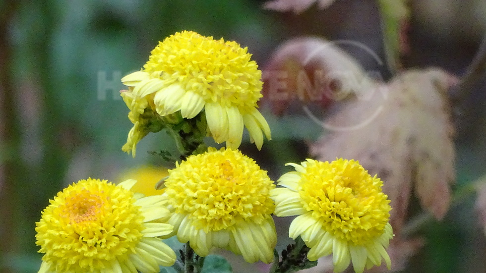 Усмихната нова седмица!