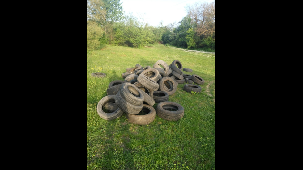 Да "изчистим"България!