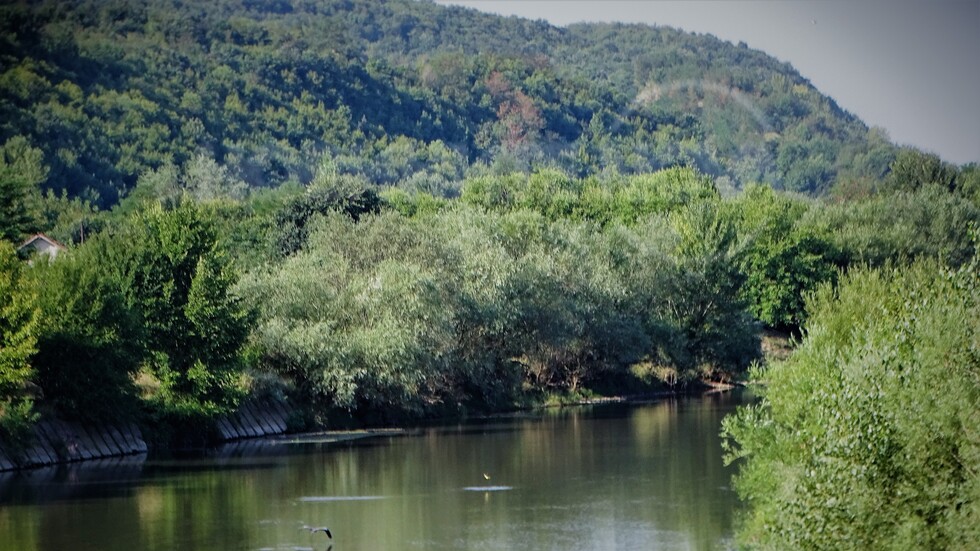 Река Вит