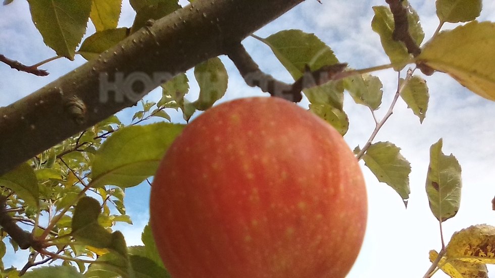 Есента започна