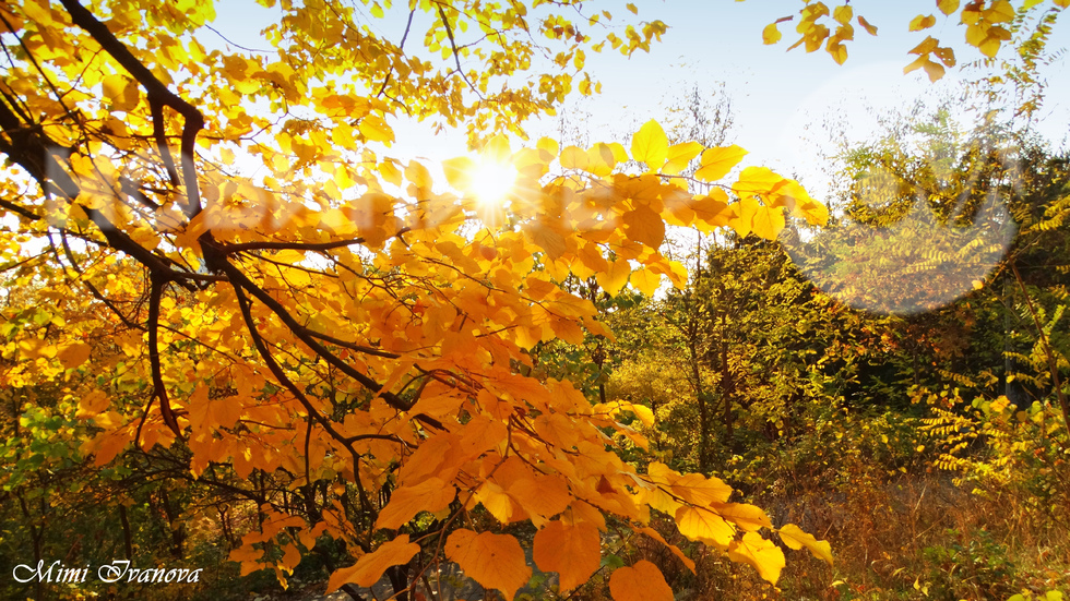 Разкошен ден край Варна днес