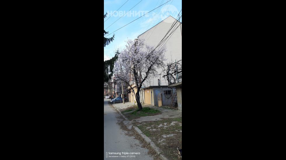 В Русе