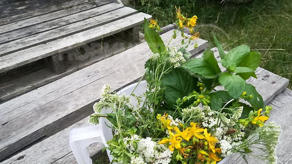 Довиждане, юни!