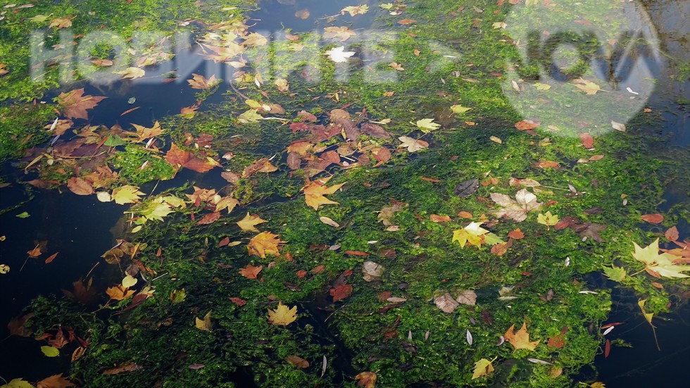 Есенни води