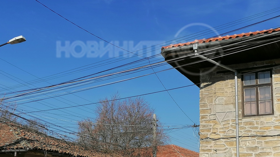 Пролетно: Бадемът цъфна в Свищов