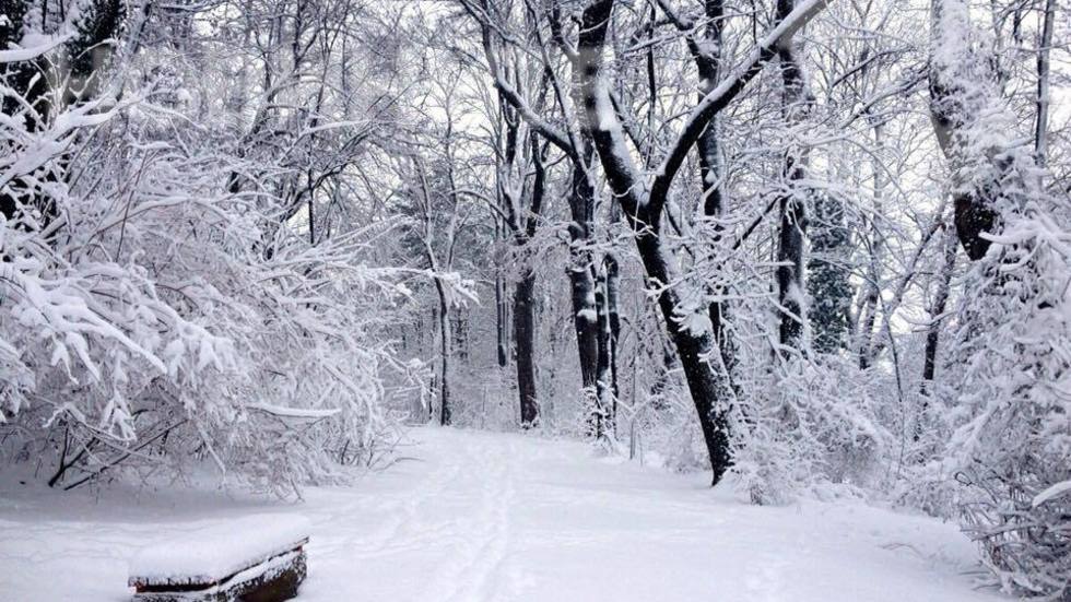 Зимната красота на Скобелев парк в Плевен