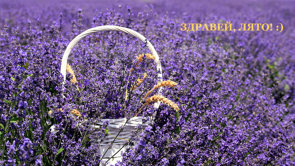 Здравей, Лято!