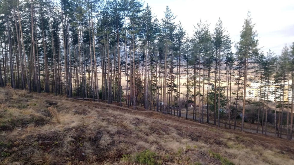 Последни топли дни