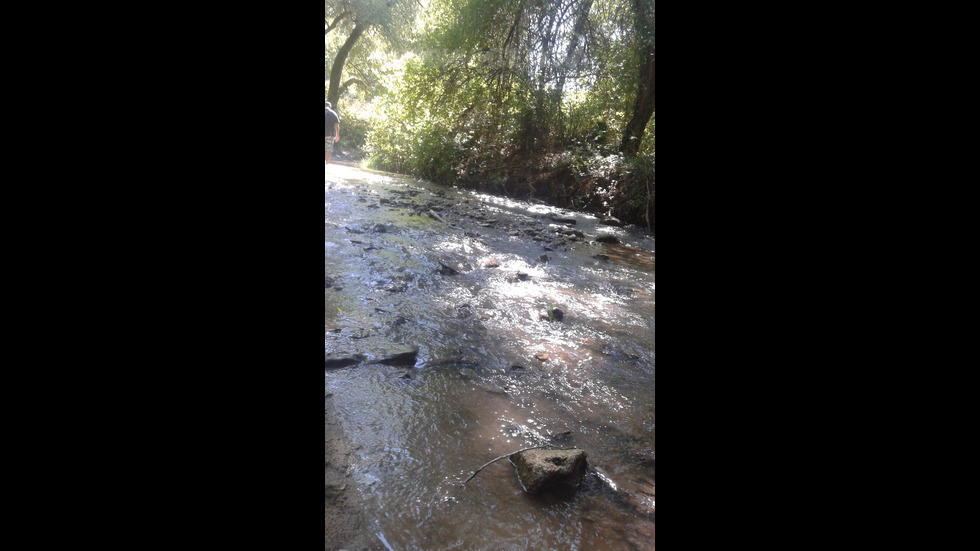 Без вода по време на епидемия