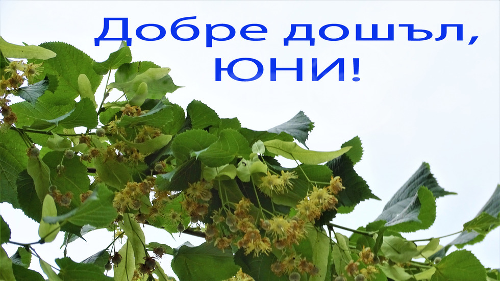 Посрещаме юни!