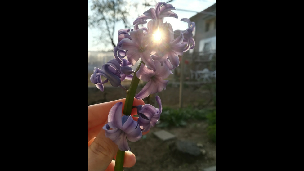 Слънчева феерия