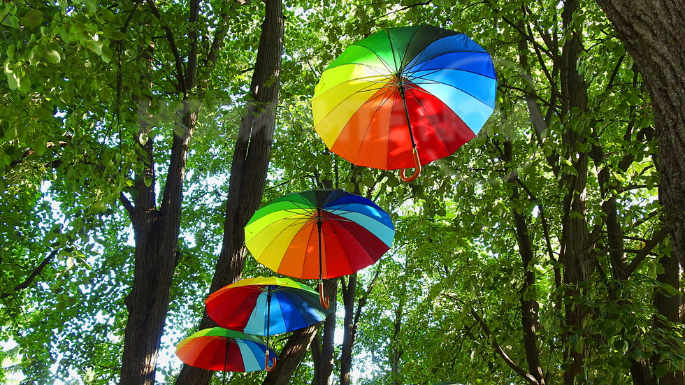 И при слънце и при дъжд -винаги полезни и красиви!