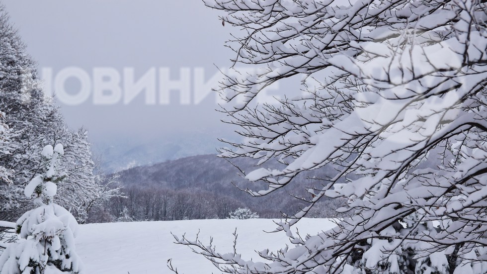 Осоговската планина