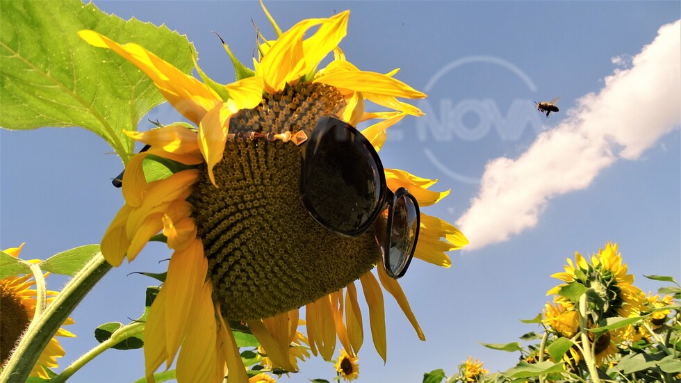 За един много хубав ден!