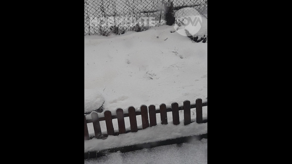 Оранжев снеговалеж в Шумен
