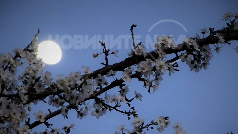 Луната и пролетта!
