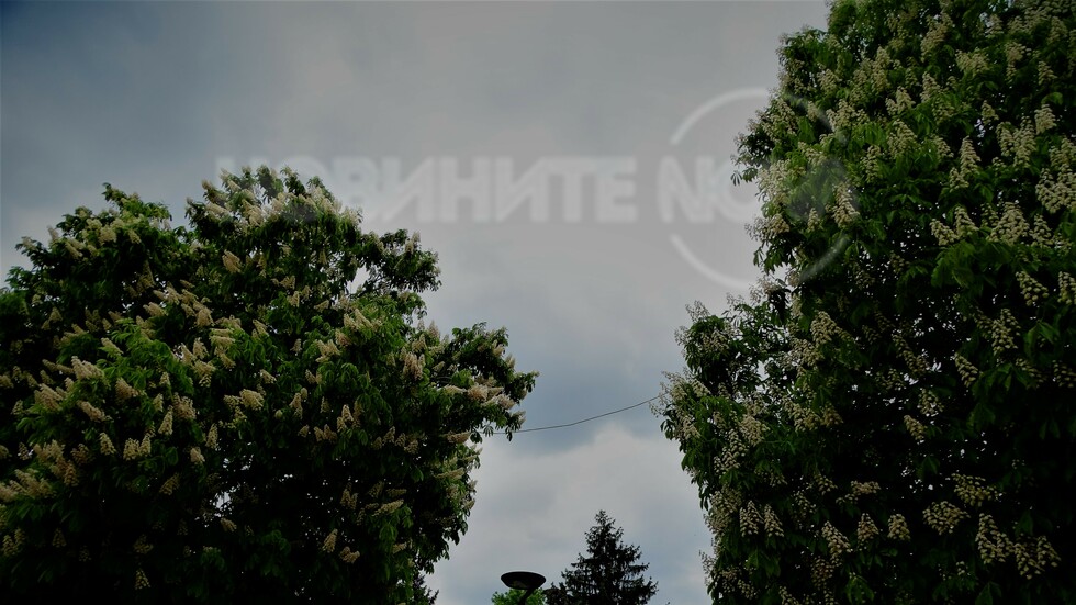 Кестеновата пролет