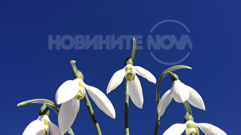 Усещане за пролет