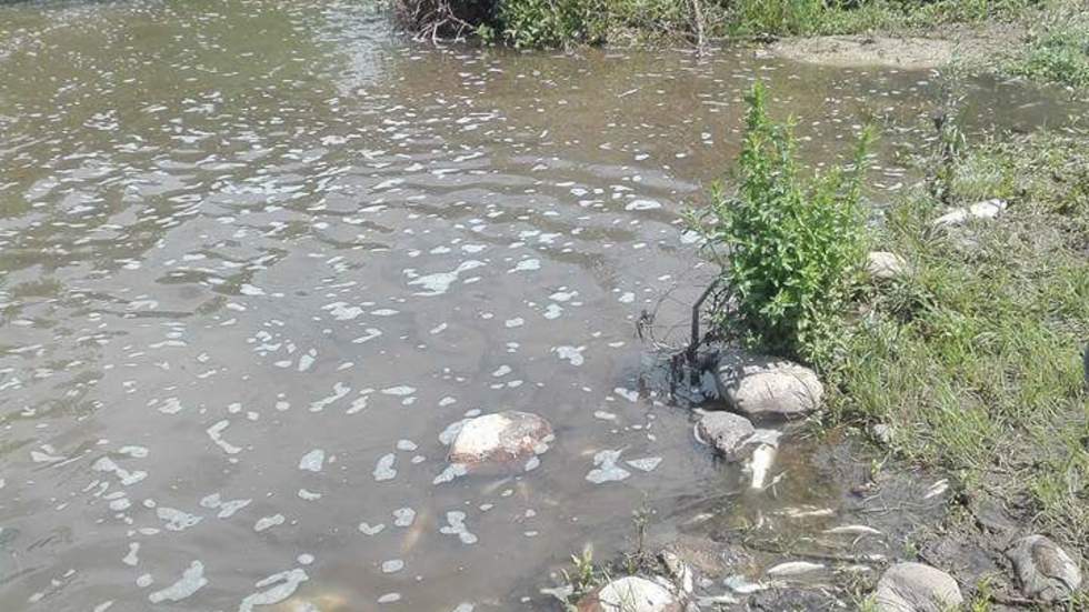 Замърсяване на река Мечка
