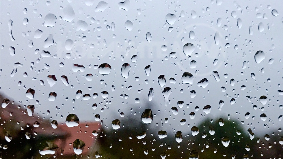 Дъждовен есенен ден