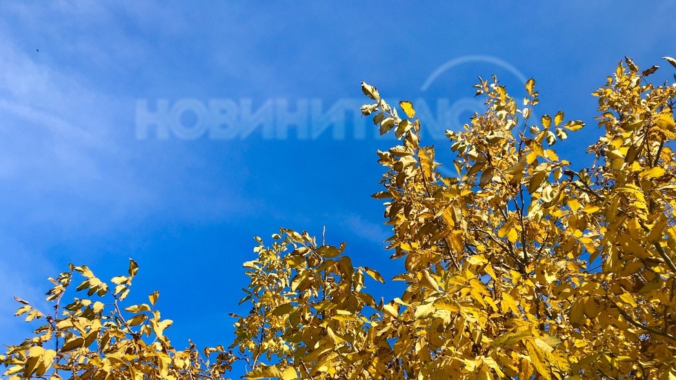 Под златните листа на стария орех