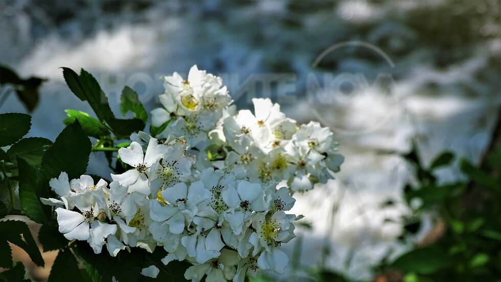С ухание на пролет!