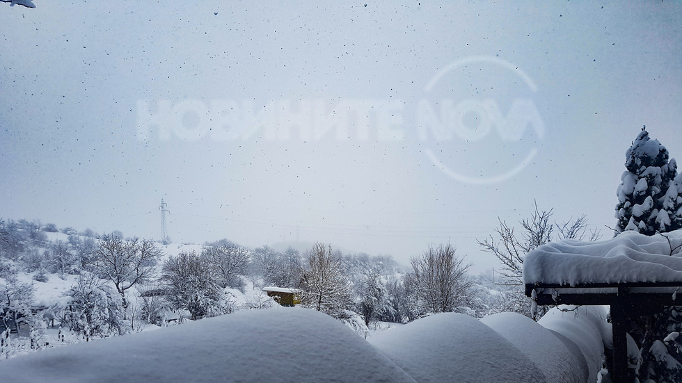 Зимна приказка