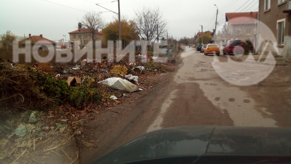 Мръсотия и мизерия в Лом