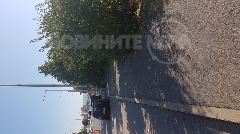 Тротоар на булевард "Панчо Владигеров" с буйна растителност