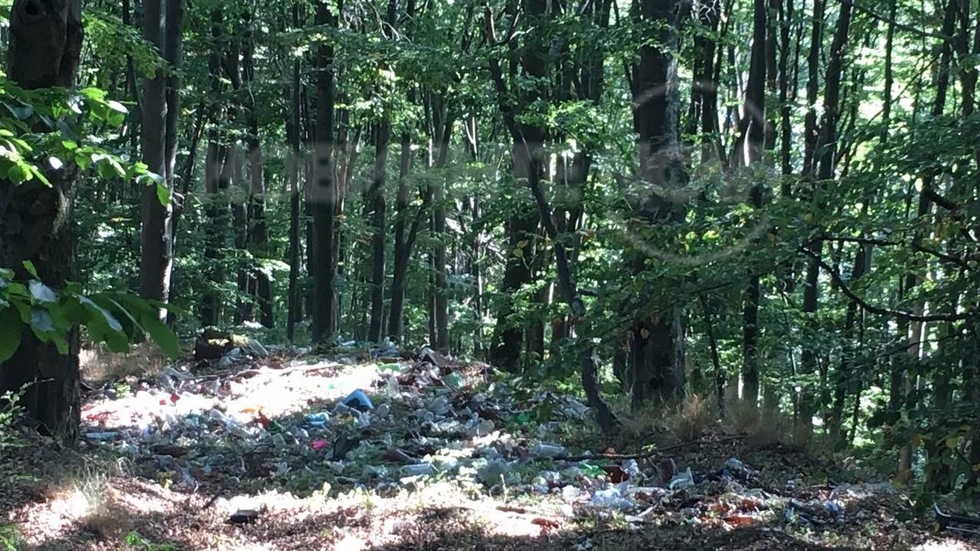 Безумието из Българските хижи