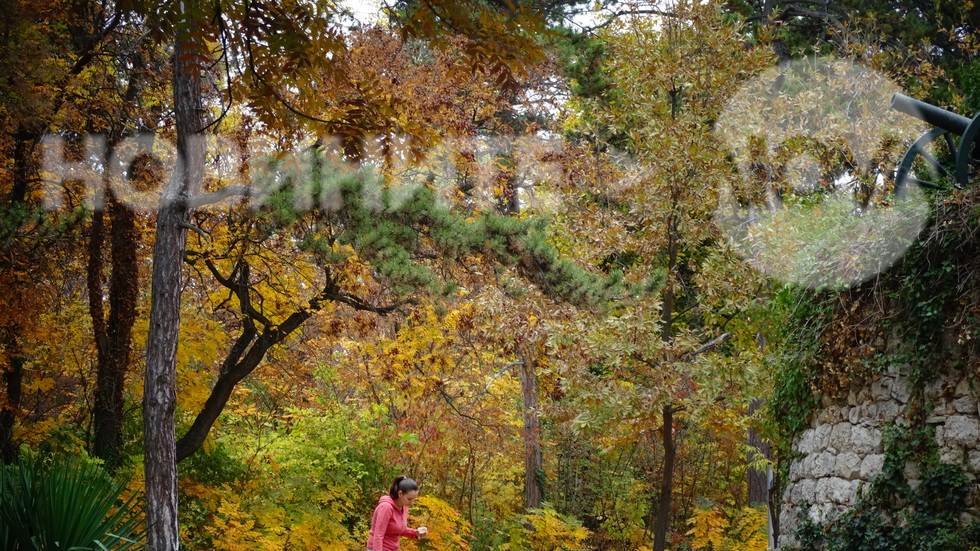 Златна есен в Скобелевия парк