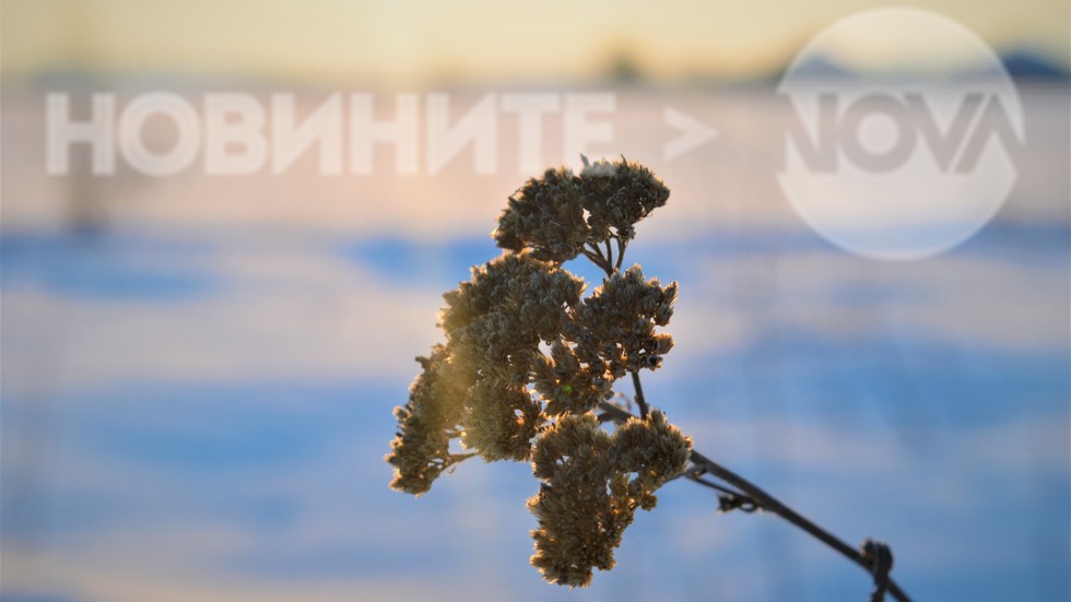 Следобедните слънчеви лъчи