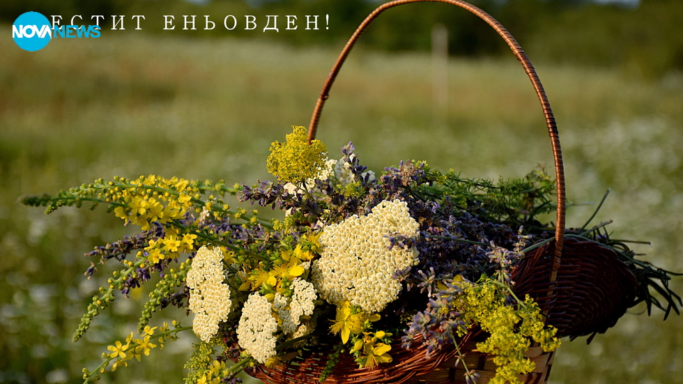 Еньовден е – денят на лечебните билки!