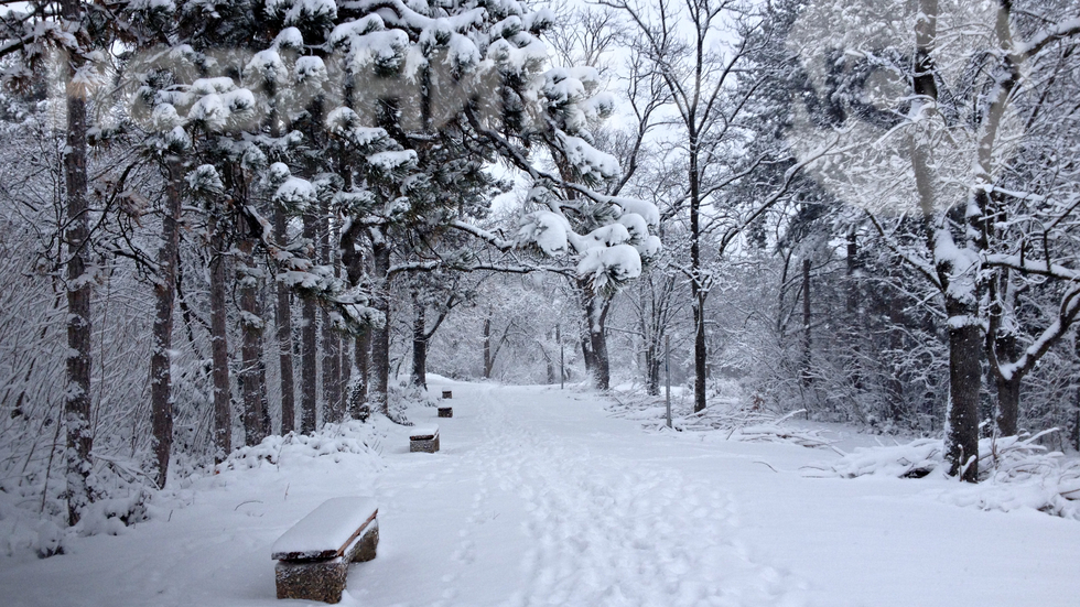 Снежно великолепие в Скобелев парк