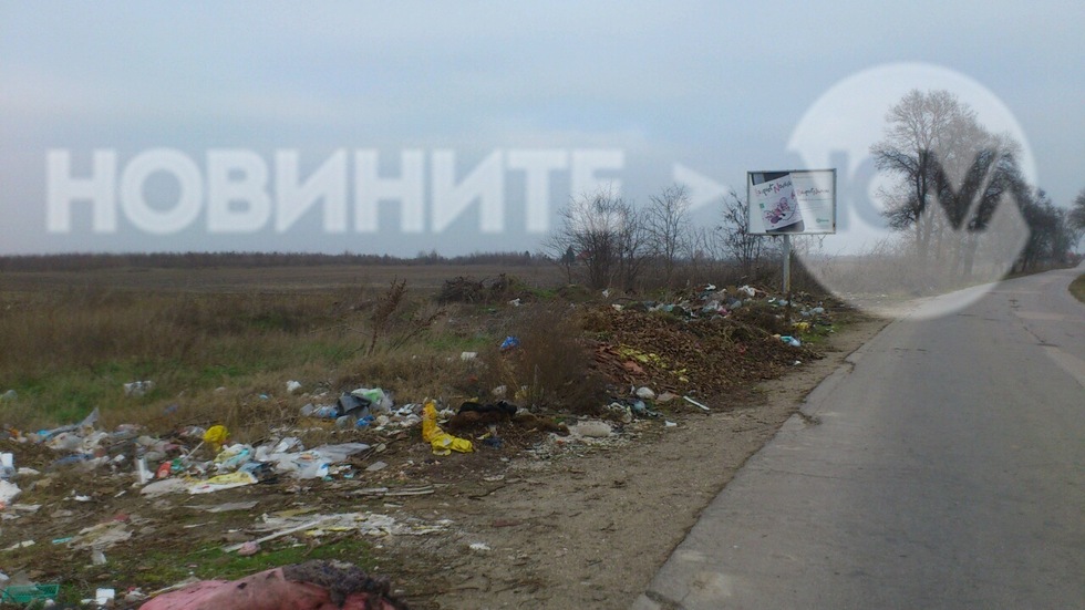 "Чистотата" краси човека