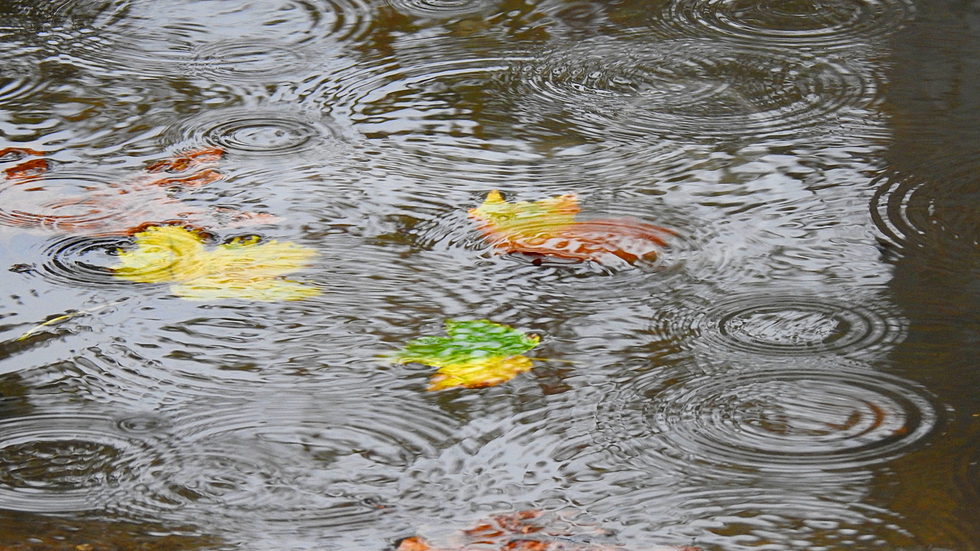 Октомври си отива с дъжд!