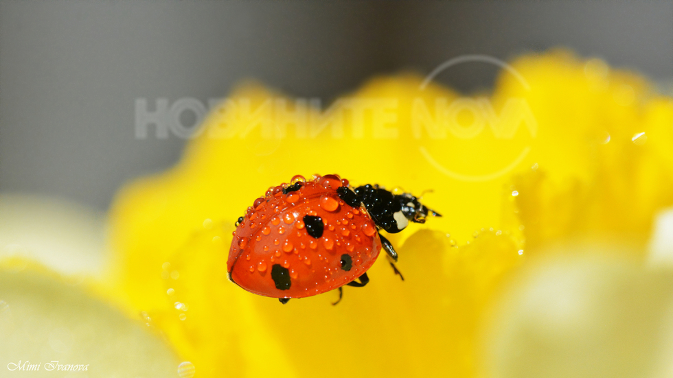 В днешния дъждовен ден..