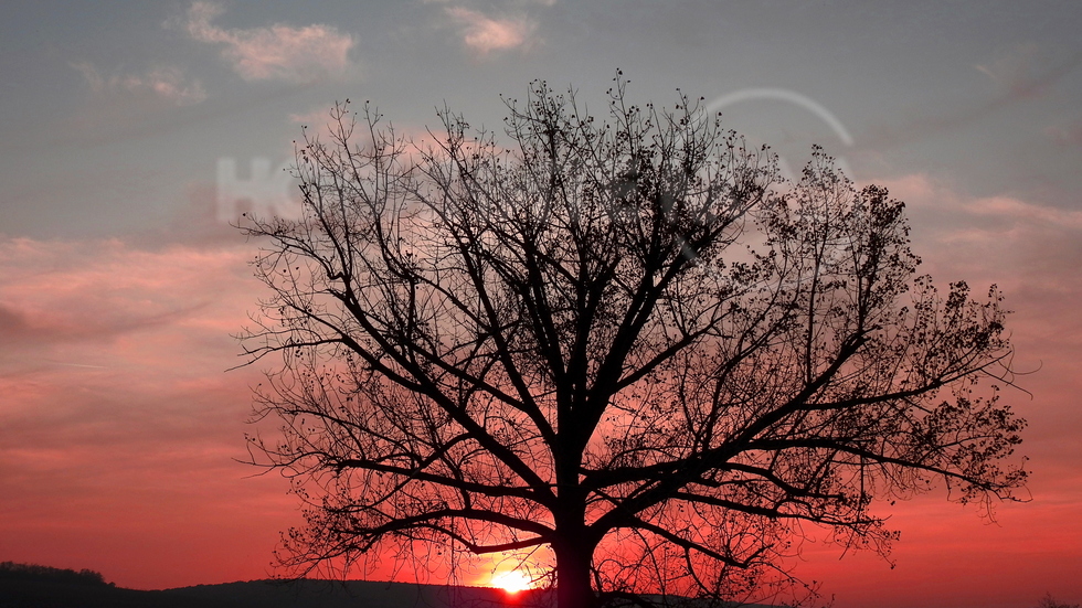 Приказният залез тази вечер!