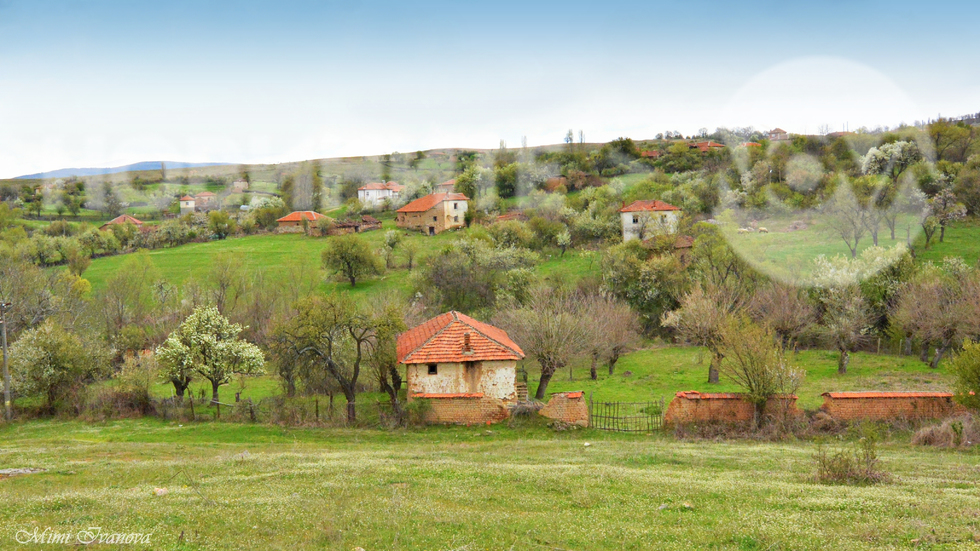 Пролетна красота от Странджа планина