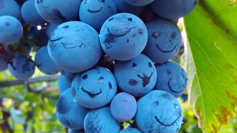 Щастливо грозде