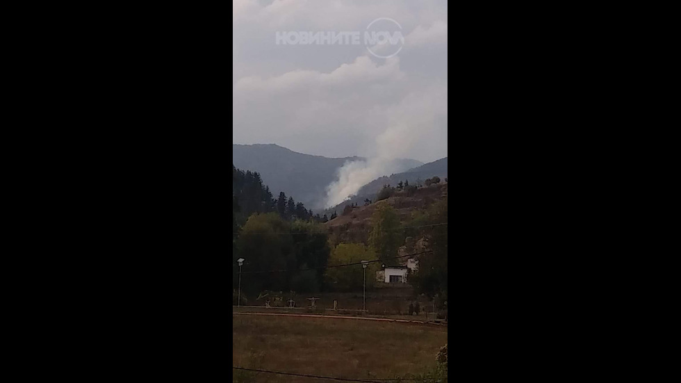 Пожарът в Стояново се възобновил