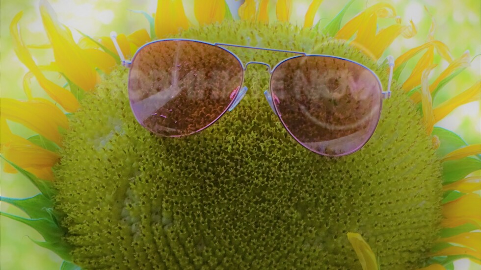 Срещу жегата-очила!