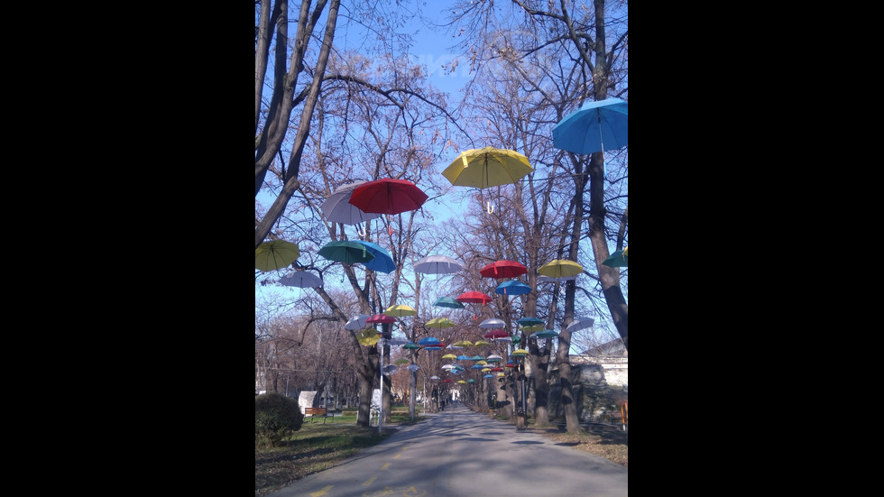 Много слънце от Видин