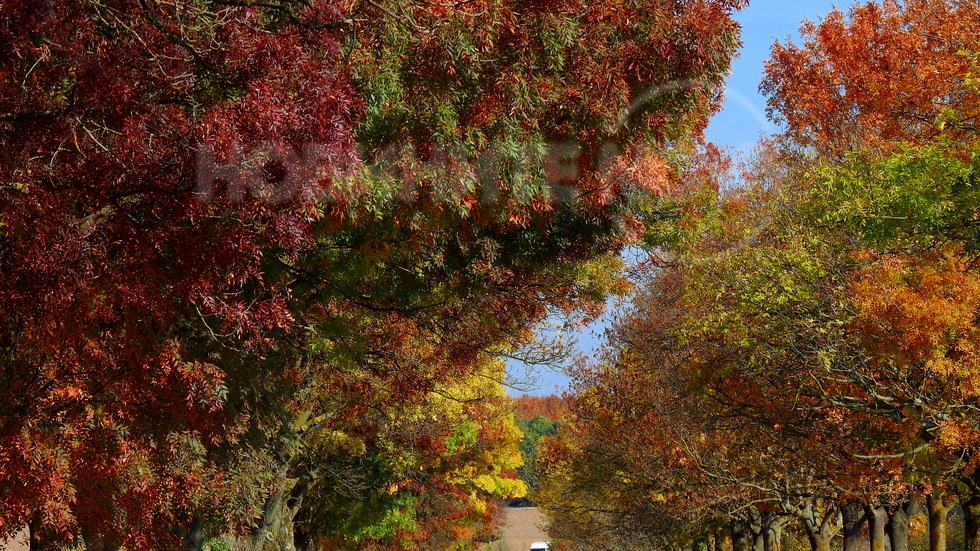 Магията на есента!