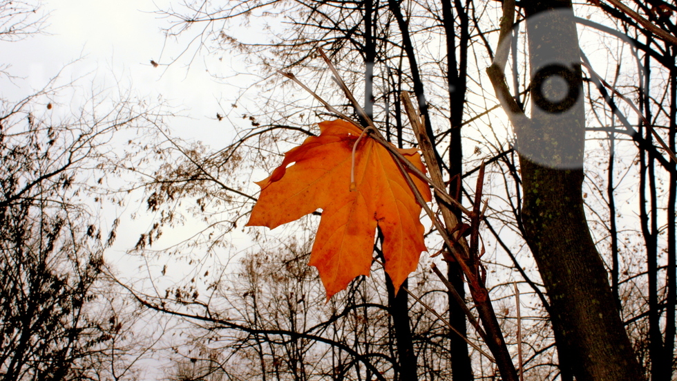 Есенни картини
