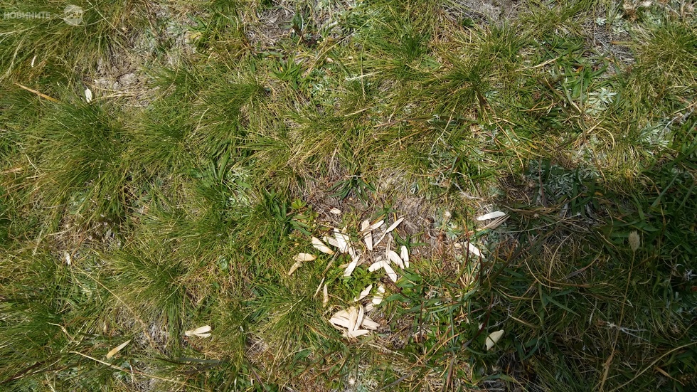 Юруш на Рилските езера