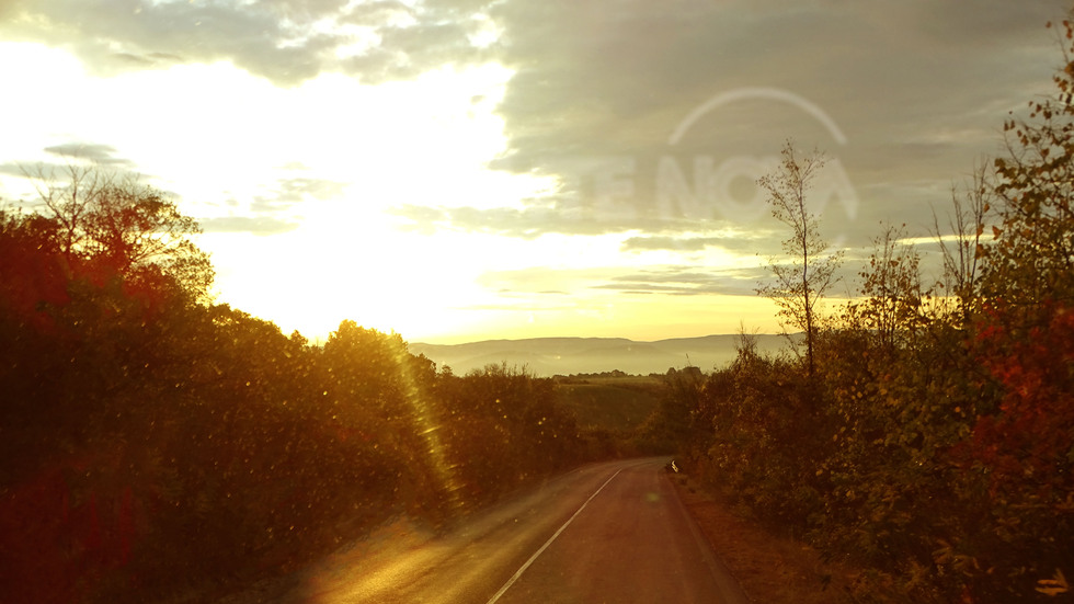 Хубаво начало на новата седмица!